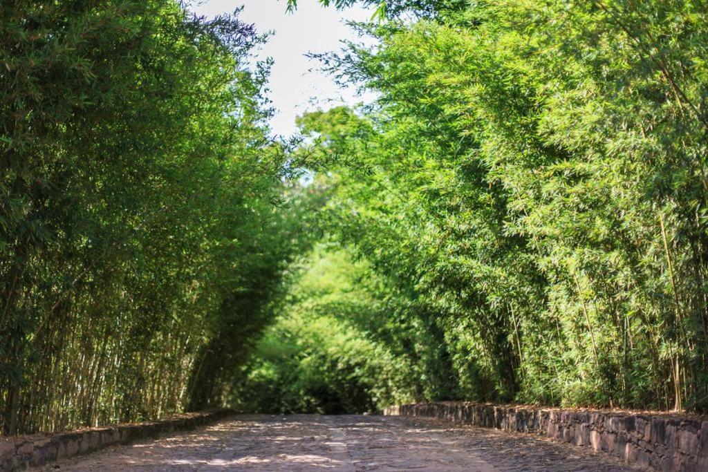 Pousada Bosque Do Lapao Ленсойс Екстер'єр фото